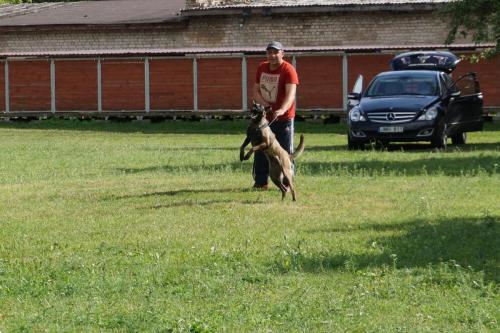 Koda Canto