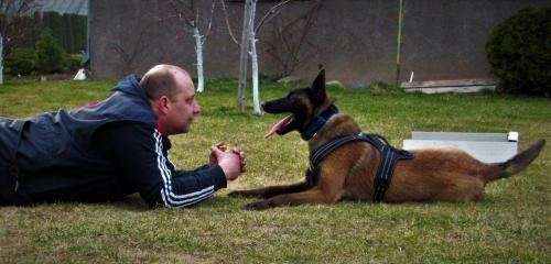 Koda Canto