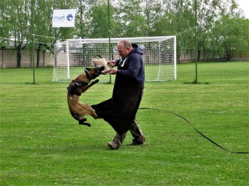 Koda Canto
